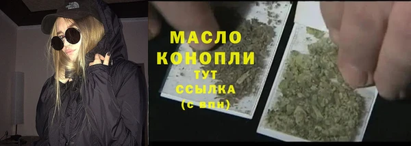mix Богородицк