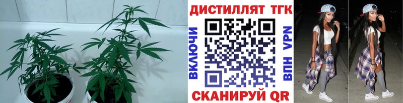 ТГК Wax  MEGA сайт  Берёзовский 